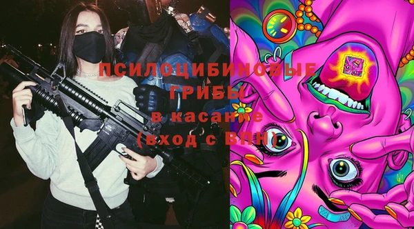 таблы Елизово