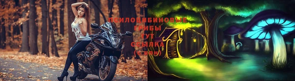 ешки Дмитровск
