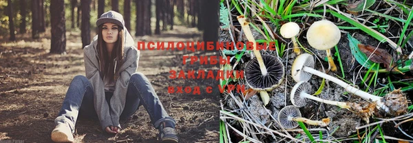 ешки Дмитровск