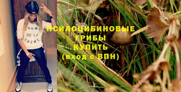 ешки Дмитровск