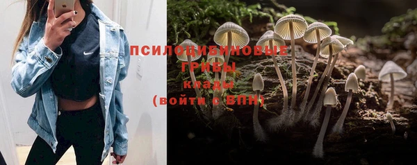 а пвп мука Дмитров