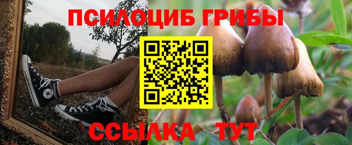 закладка  Псилоцибиновые грибы MAGIC MUSHROOMS  Вход с VPN  Заинск 